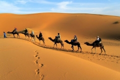 mysterious-morocco-tours13